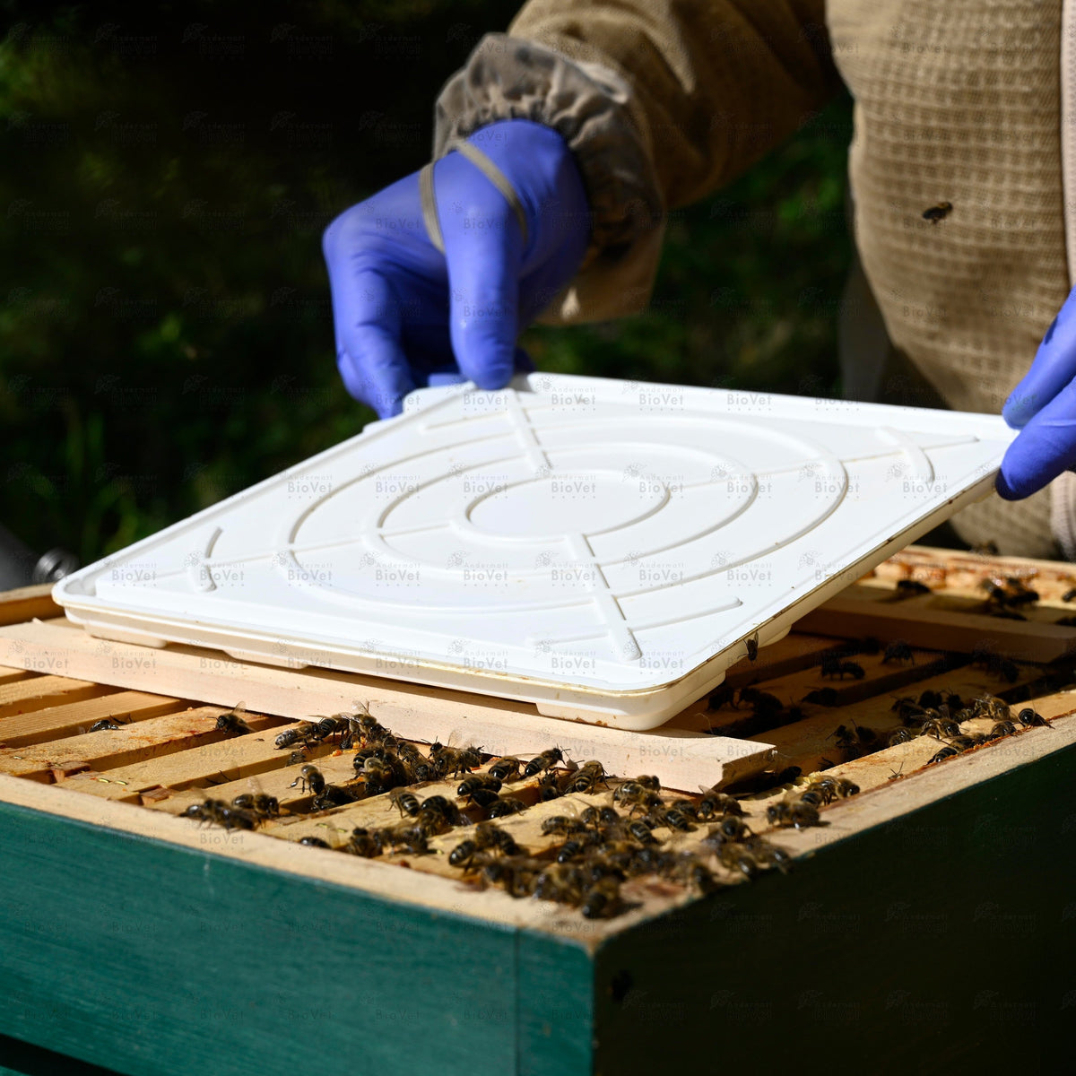 FAM-Dispenser gegen Varroa